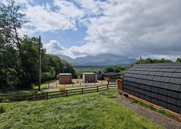 Pinemarten Lodge